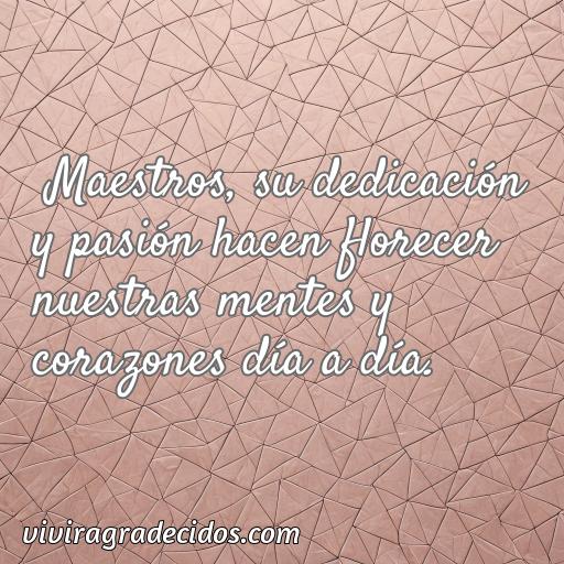 Mejor frase de agradecimiento para maestros, frases de agradecimiento para maestros