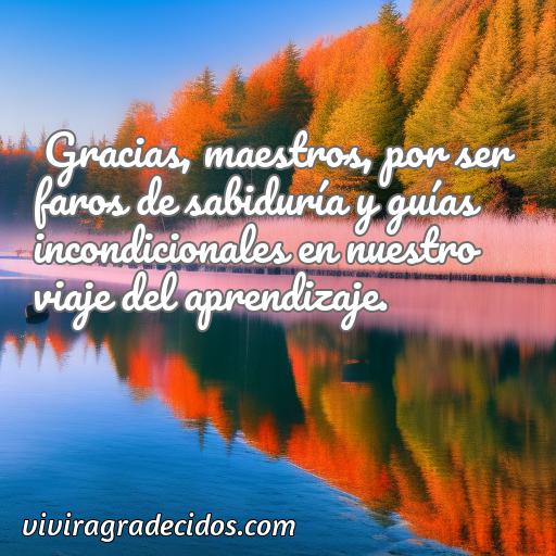 Mejor frase de agradecimiento para maestros, Cincuenta frases de agradecimiento para maestros