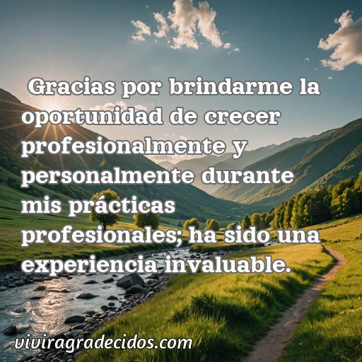 Cincuenta Mejores Frases de agradecimiento por prácticas profesionales