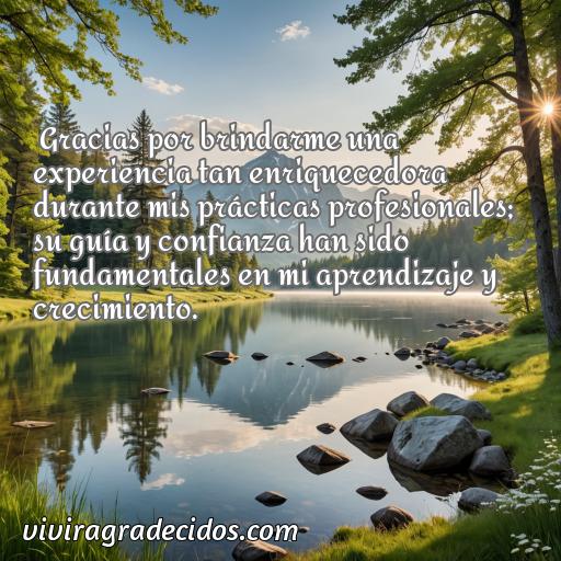 Excelente frase de agradecimiento por practicas profesionales, frases de agradecimiento por practicas profesionales